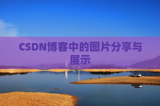 CSDN博客中的图片分享与展示